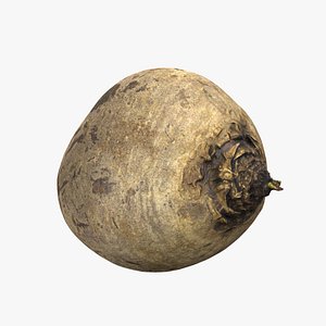 Beetroot 3D model