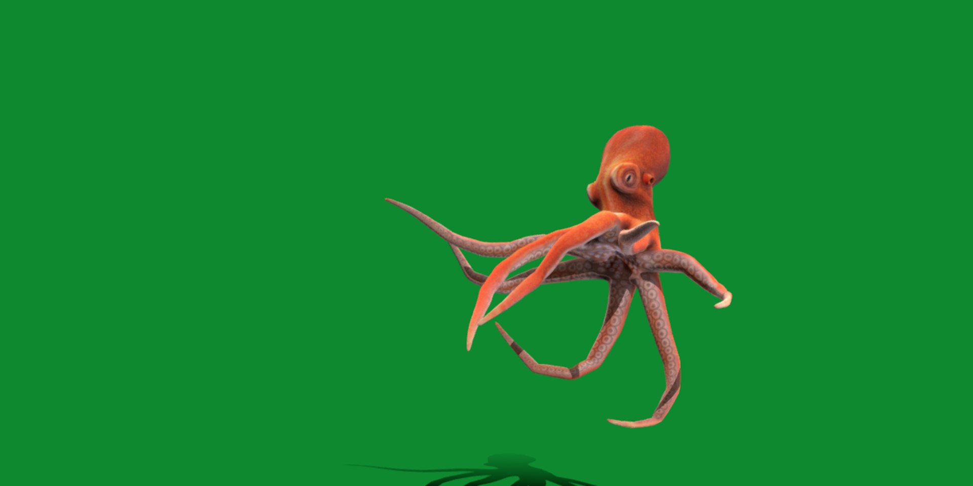 3D Octopus Model - TurboSquid 2303729