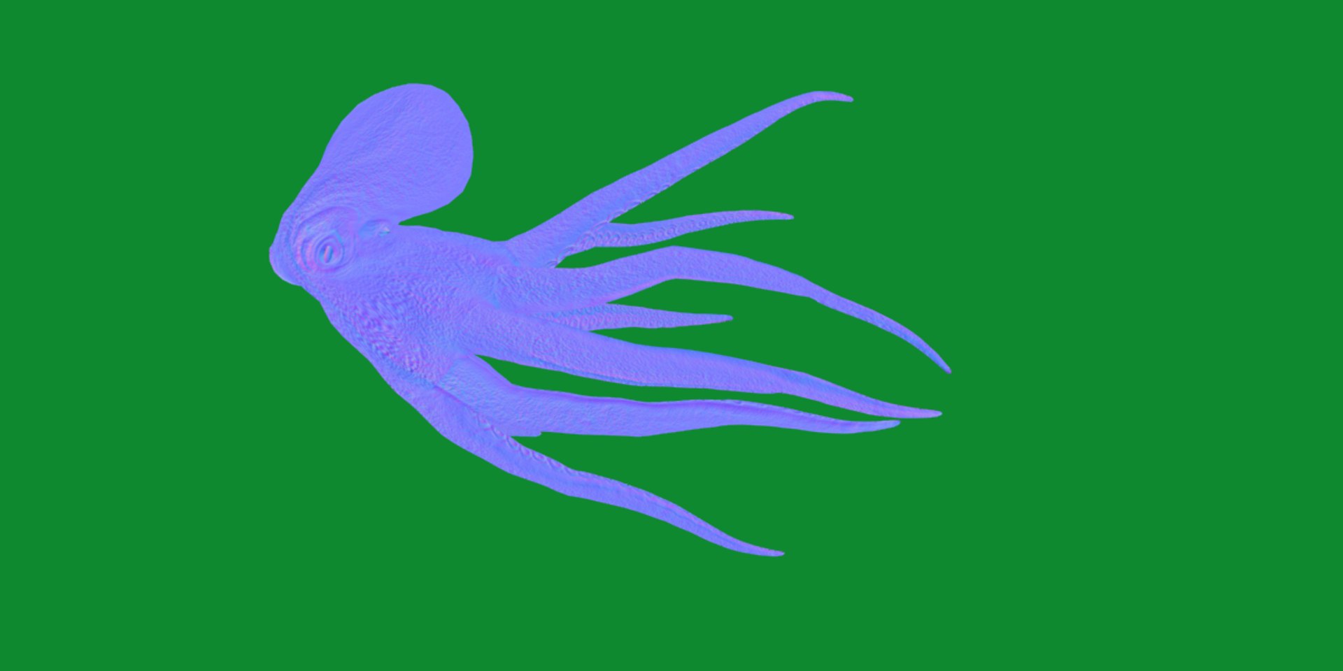 3D Octopus Model - TurboSquid 2303729
