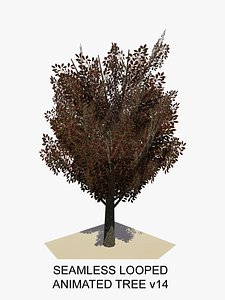 Animated Tree v14