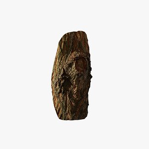 Anydrafts Acer palmatum Burl 01 3D model