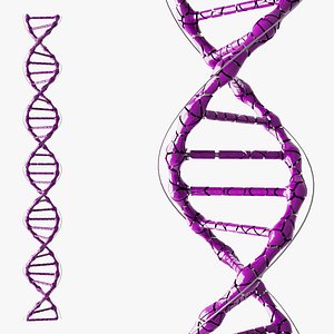 DNA Hexagons