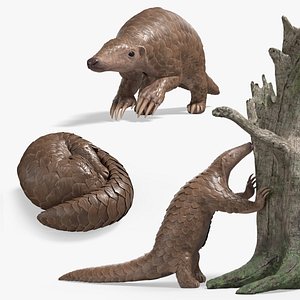 Pangolin Rigged For Blender Animated Set 3D model