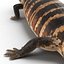 blue tongued skink max