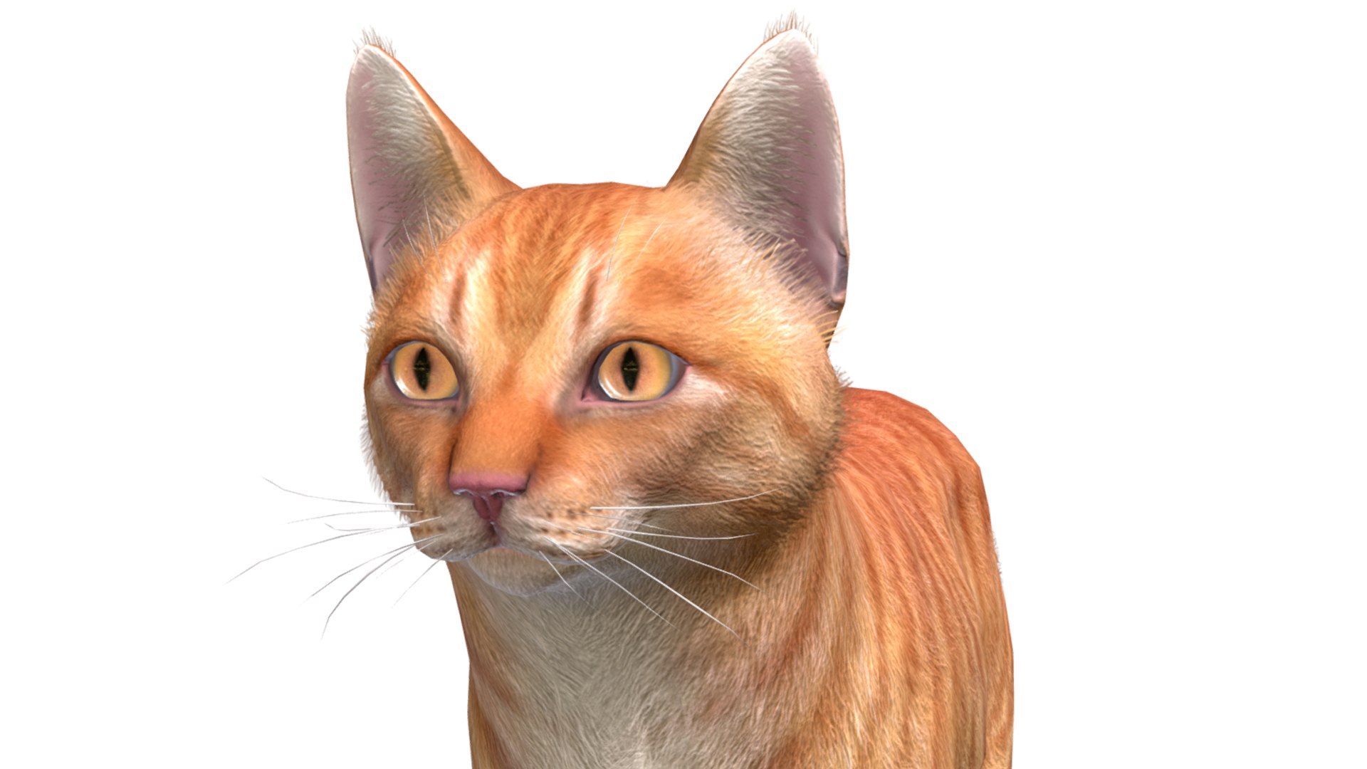 3D Cats - Simple model https://p.turbosquid.com/ts-thumb/TQ/HJCNWj/WM/r13/png/1675505204/1920x1080/fit_q87/60ca222dac98ae9905b19a230eafbaf813168f66/r13.jpg