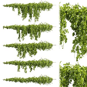 Collection plant vol 435 - Outdoor - bush - ivy - 3dsmax - cinema 4d 3D