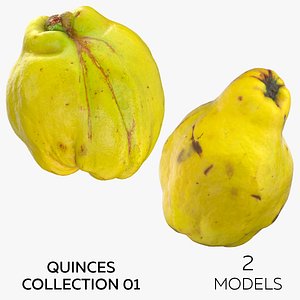 3D Quinces Collection 01 - 2 models