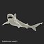 Sandbar Shark Pose 2 3D Model