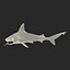 Sandbar Shark Pose 2 3D Model