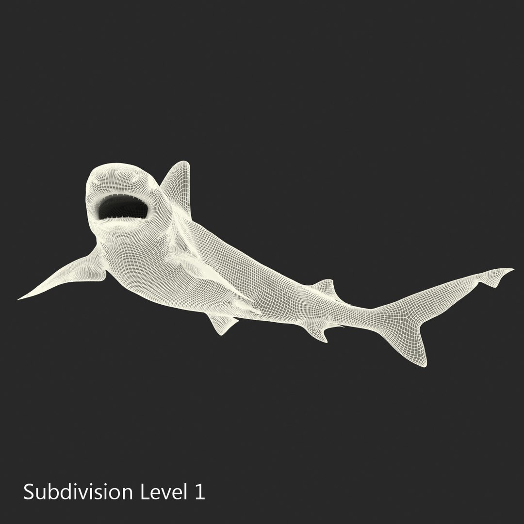 3d sandbar shark pose 2 https://p.turbosquid.com/ts-thumb/TQ/L1lHY2/Ct9mRj75/sandbarshark3dmodel18/jpg/1453577814/1920x1080/fit_q87/79706283ea071c449aaaafbf54c7be9ccc9e9787/sandbarshark3dmodel18.jpg