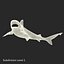 Sandbar Shark Pose 2 3D Model