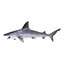 Sandbar Shark Pose 2 3D Model
