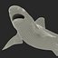 Sandbar Shark Pose 2 3D Model