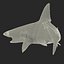 Sandbar Shark Pose 2 3D Model