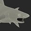 Sandbar Shark Pose 2 3D Model
