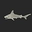 Sandbar Shark Pose 2 3D Model