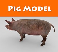pig low poly game ready model