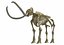 skeleton mammoth elephant 3D model