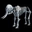 skeleton mammoth elephant 3D model