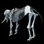 skeleton mammoth elephant 3D model