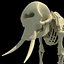skeleton mammoth elephant 3D model