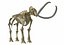 skeleton mammoth elephant 3D model