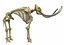 skeleton mammoth elephant 3D model
