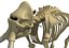 skeleton mammoth elephant 3D model