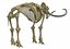 skeleton mammoth elephant 3D model