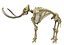 skeleton mammoth elephant 3D model