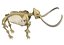 skeleton mammoth elephant 3D model
