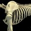 skeleton mammoth elephant 3D model