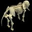 skeleton mammoth elephant 3D model