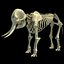skeleton mammoth elephant 3D model