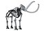 skeleton mammoth elephant 3D model