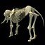 skeleton mammoth elephant 3D model