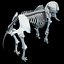 skeleton mammoth elephant 3D model