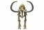 skeleton mammoth elephant 3D model