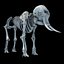 skeleton mammoth elephant 3D model