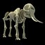 skeleton mammoth elephant 3D model