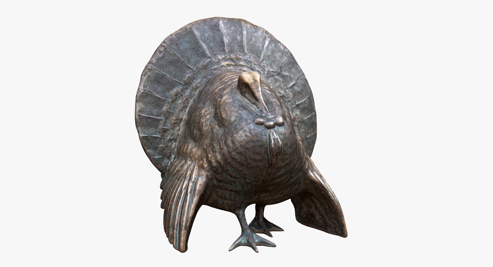 3D Turkey Bronze Statue - TurboSquid 1936512
