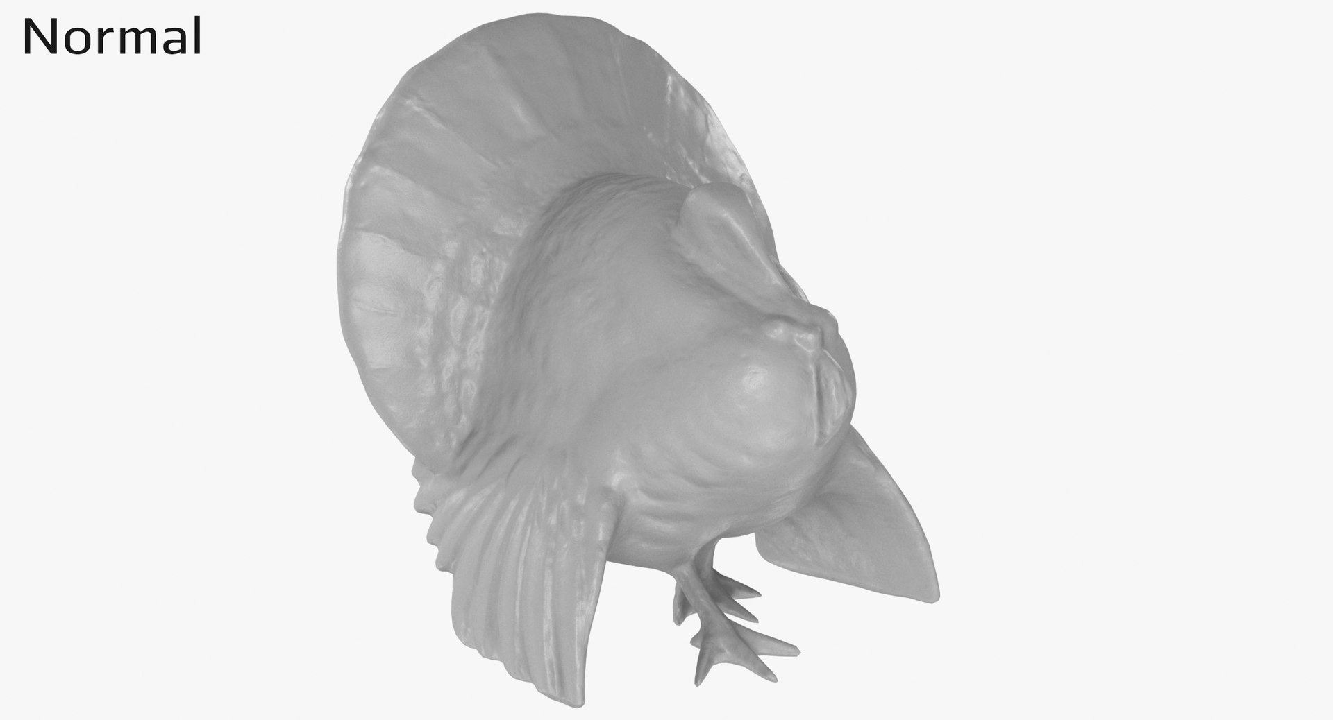 3D Turkey Bronze Statue - TurboSquid 1936512