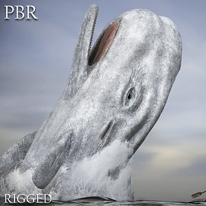 Sperm Whale
