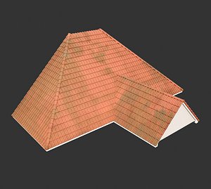 Realistic Roof Collections 27 3D model
