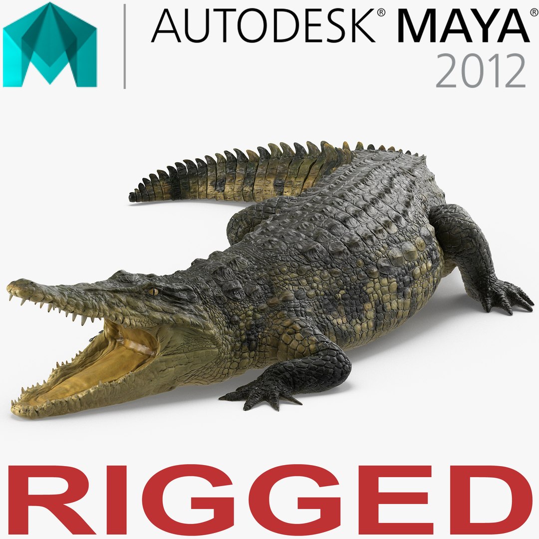 Crocodile Rigged for Maya 3D Model 3D model preview
