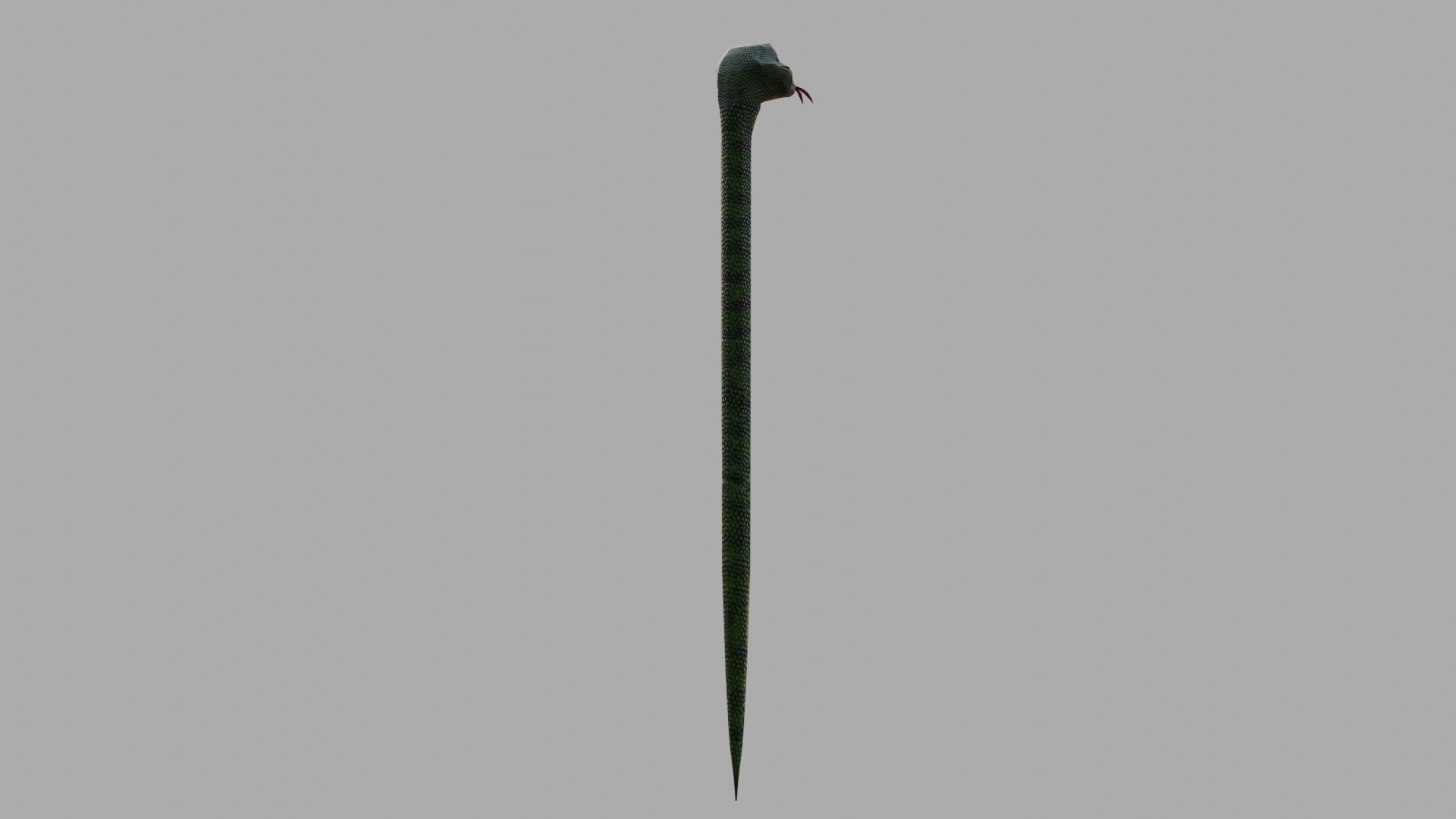 Snake Stylized 3D model https://p.turbosquid.com/ts-thumb/TR/fewrvC/6v/cyc_ren0008/jpg/1743354107/1920x1080/fit_q87/d56cc2826deda624b2422c7f13c6bb063a6bfc04/cyc_ren0008.jpg