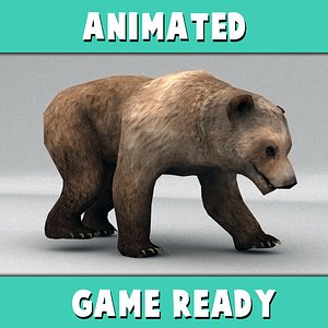 rigged brown bear animation ma