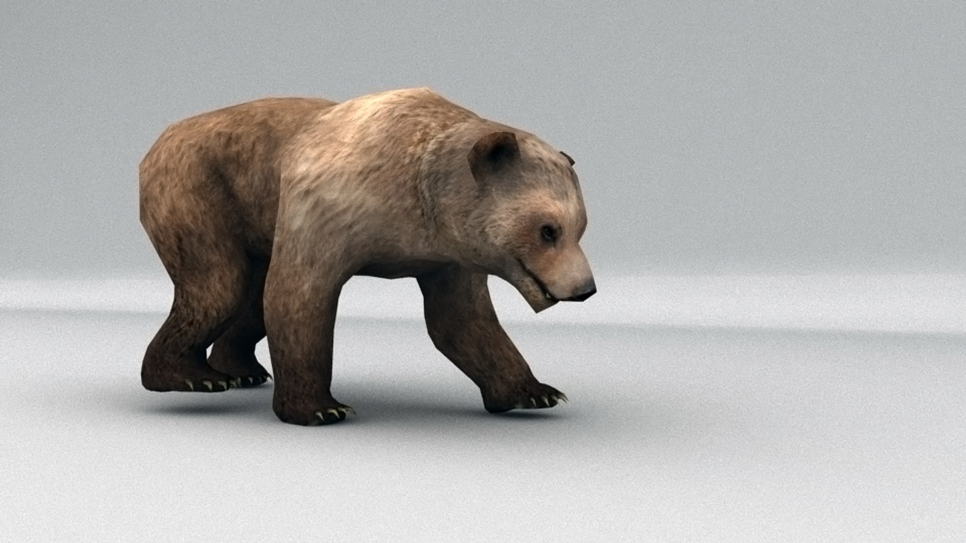 rigged brown bear animation ma
