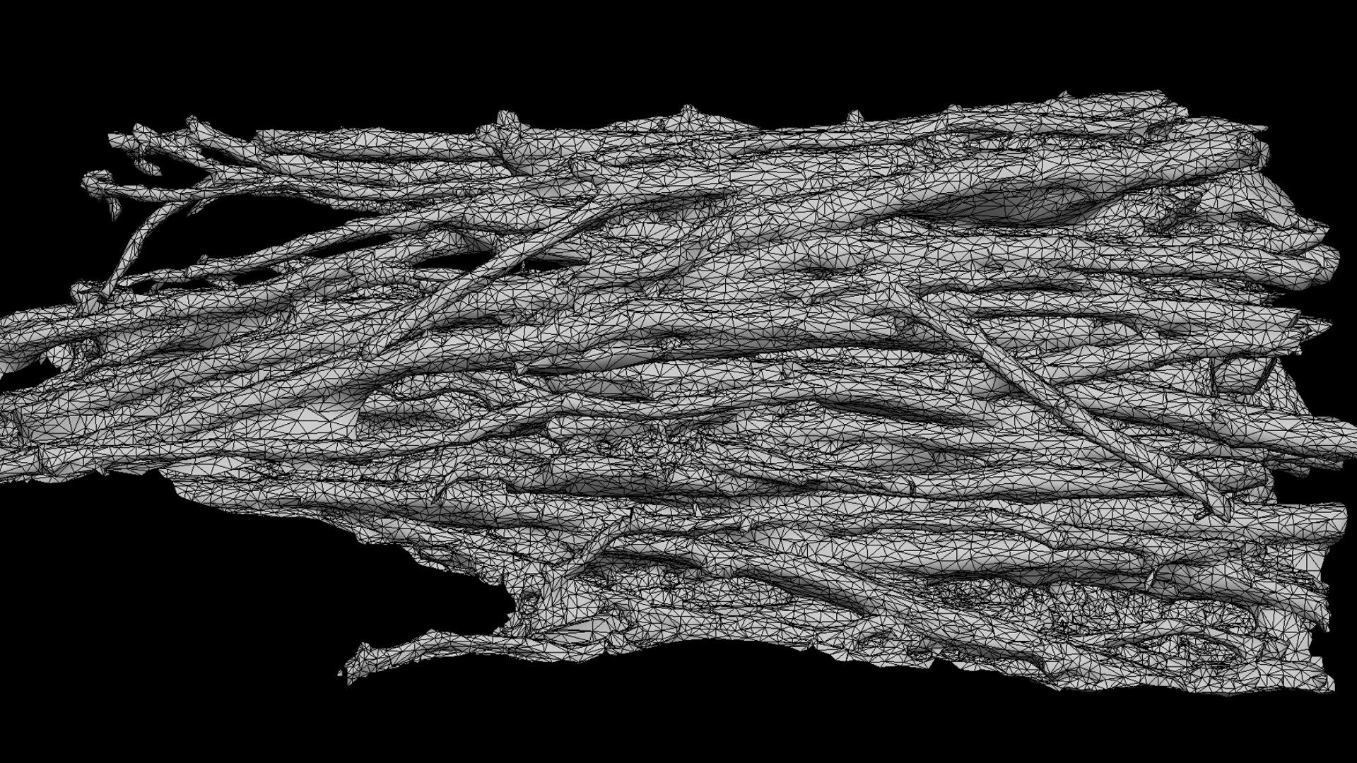 Wood Branches Forest Side Part3 Photogrammetry 3D Model - TurboSquid ...