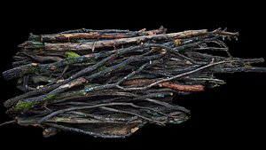 wood branches forest side part3 photogrammetry 3D model